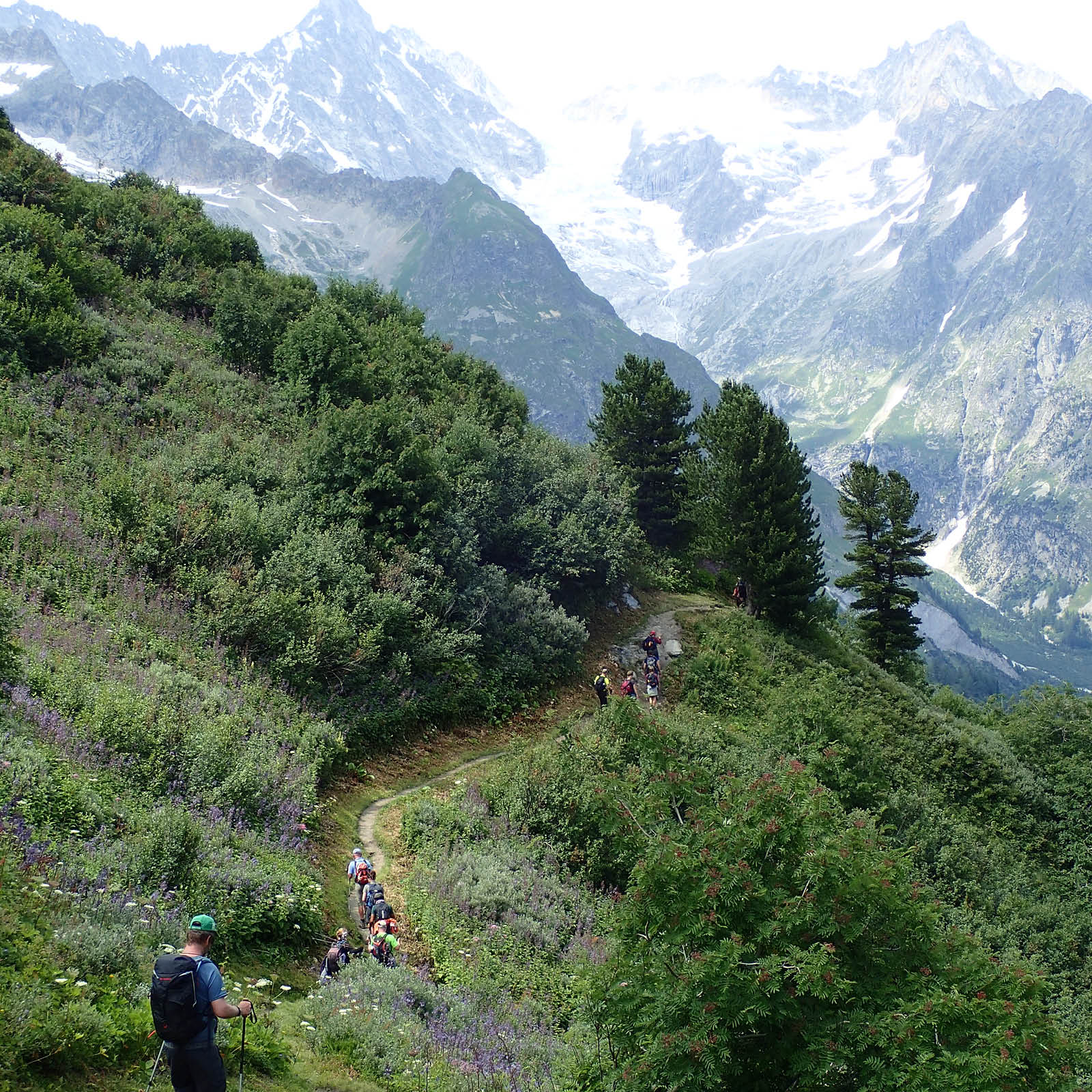 Horizons Nature: de l’alpage de la Peulaz vers le gîte de la Léchère