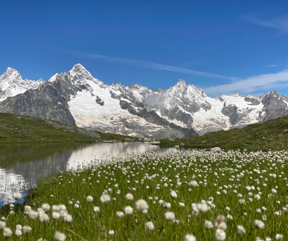 image prise sur le tour du valais, un trekking organisé par l'agence d'accompagnateurs en montagne Horizons nature