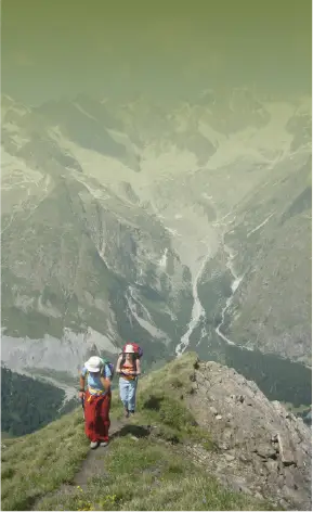 Horizons Nature à l'Arpalle, val Ferret, le Tour Noir en toile de fond