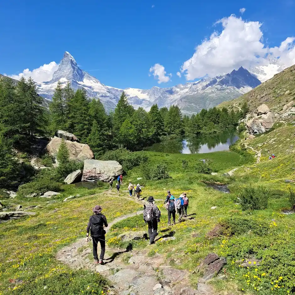 Groupe de randonneurs sur le tour des 5 lacs à Zermatt à Grindjesee et vue sur le Matterhorn Cervin